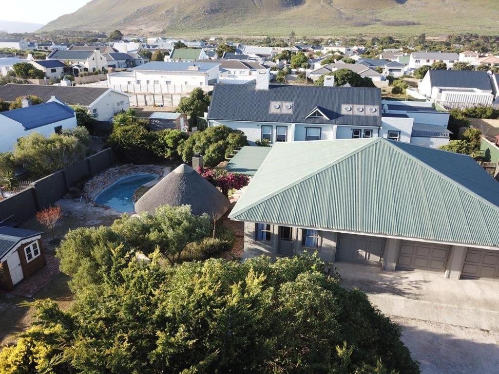 Olive * Hermanus